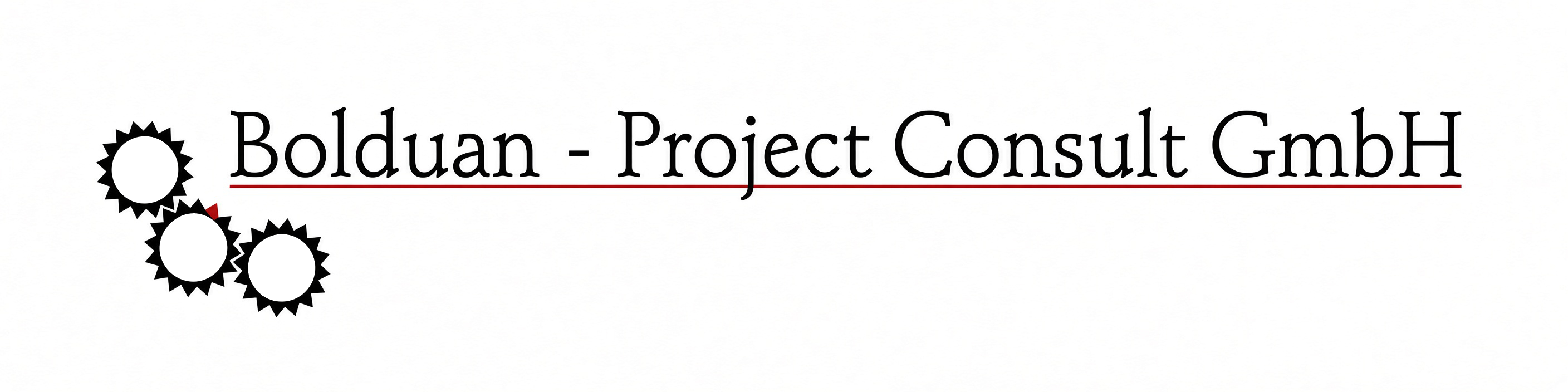Bolduan - Project Consult GmbH